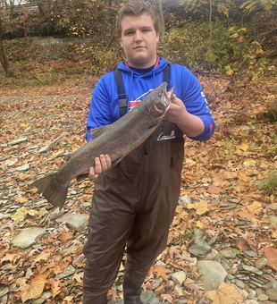 Finest Steelhead In Lake Erie 